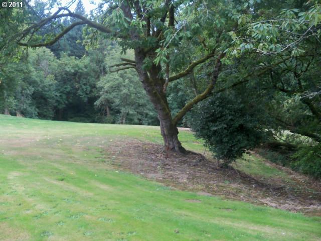 251 Kilkelly Road Kalama, WA 98625 - Photo 10 of 10