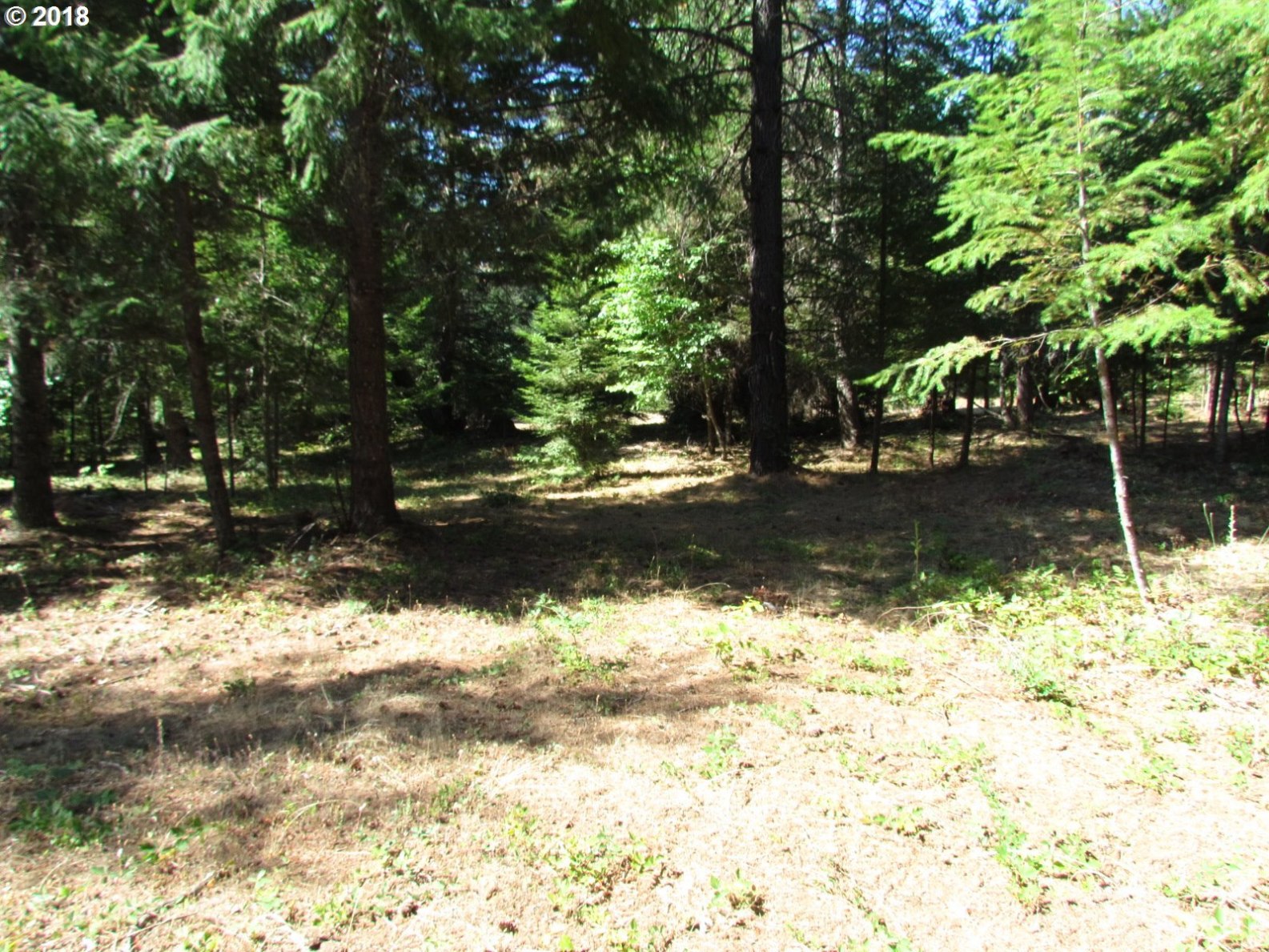12 Debo Road White Salmon, WA 98672 - Photo 14 of 17 Gallery Image 14