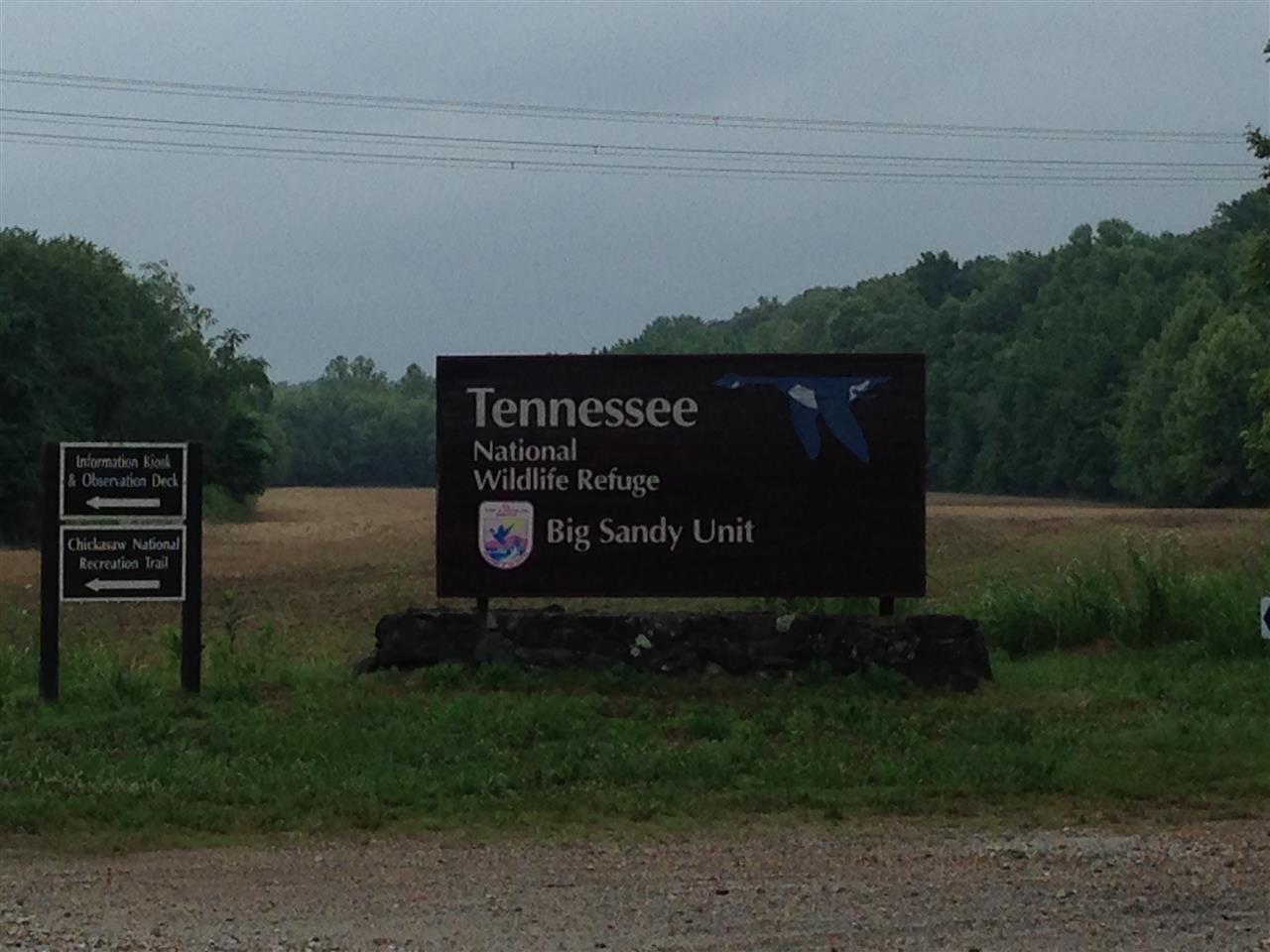 1500 Grannys Branch Road Big Sandy, TN 38221 - Photo 21 of 25 Gallery Image 21