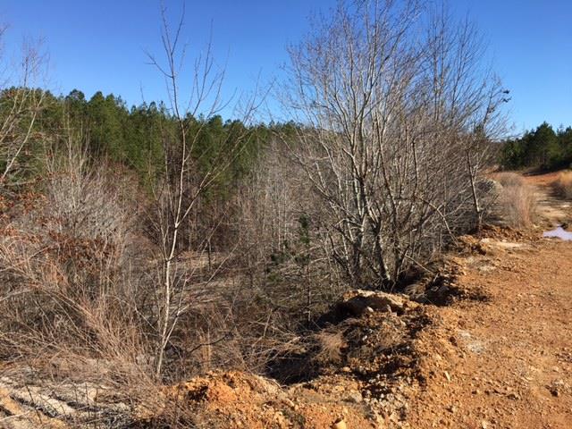 178 Happy Hollow Road Hohenwald, TN 38462 - Photo 13 of 13 Gallery Image 13