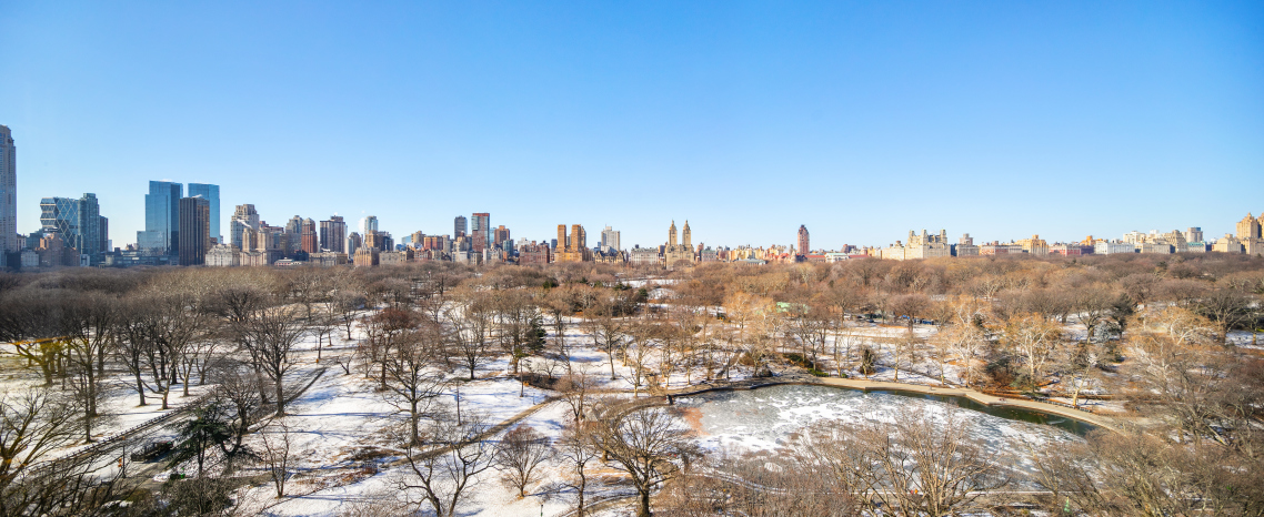 923 5th Avenue, Unit 17CD Manhattan, NY 10021 - Photo 11 of 12