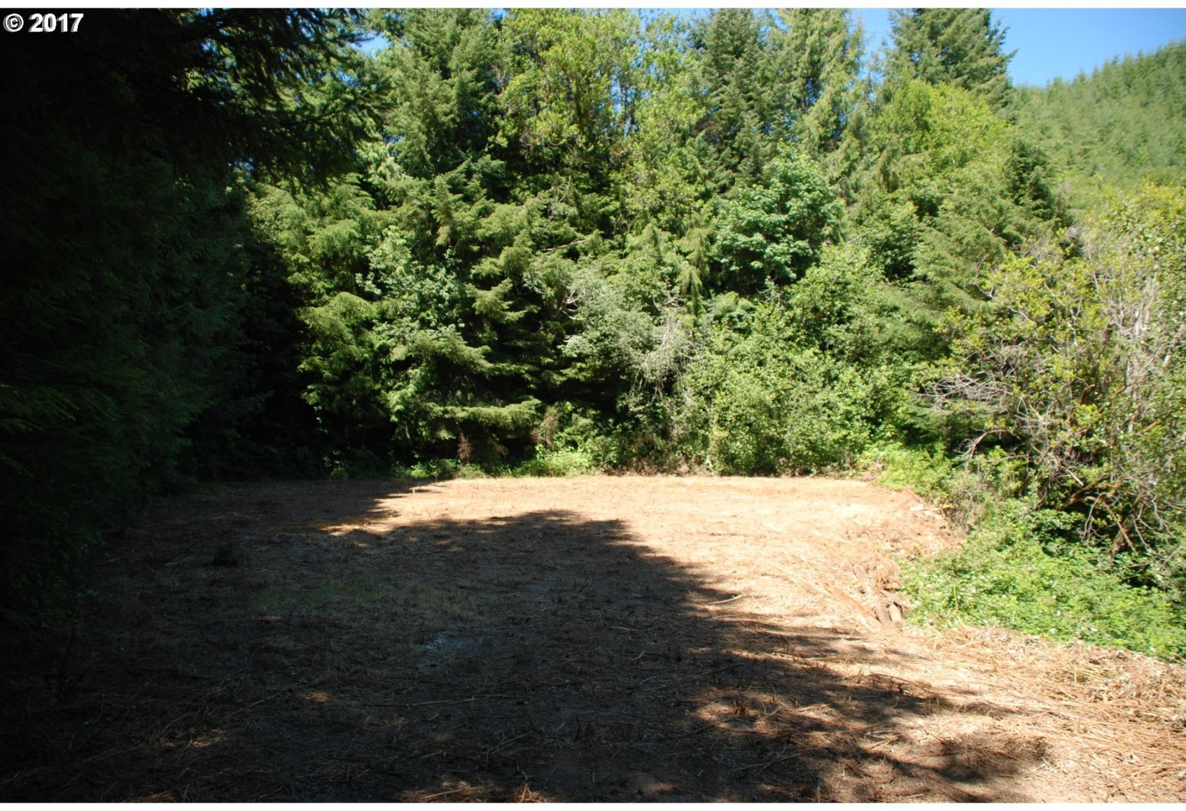 0 Oar Creek Road Reedsport, OR 97467 - Photo 1 of 19