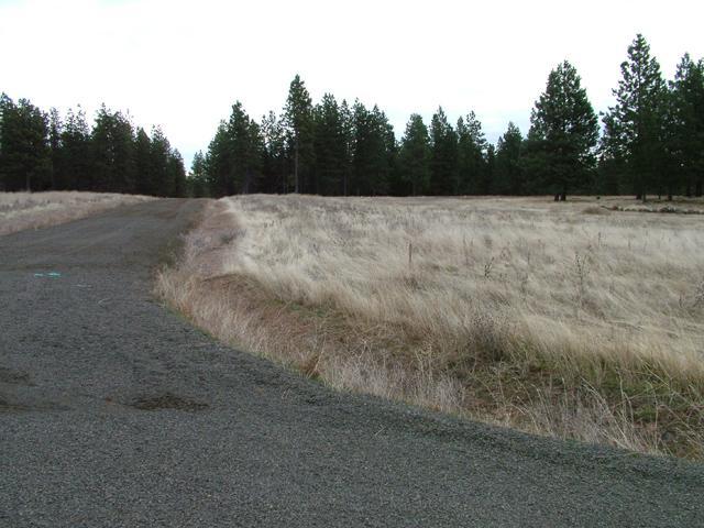Austin Road Goldendale, WA 98620 - Photo 8 of 15 Gallery Image 8