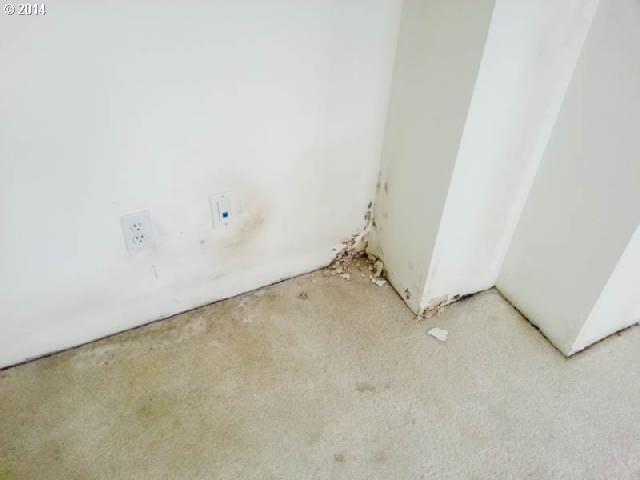 424 Northwest MacLeay Boulevard Portland, OR 97210 - Photo 7 of 16