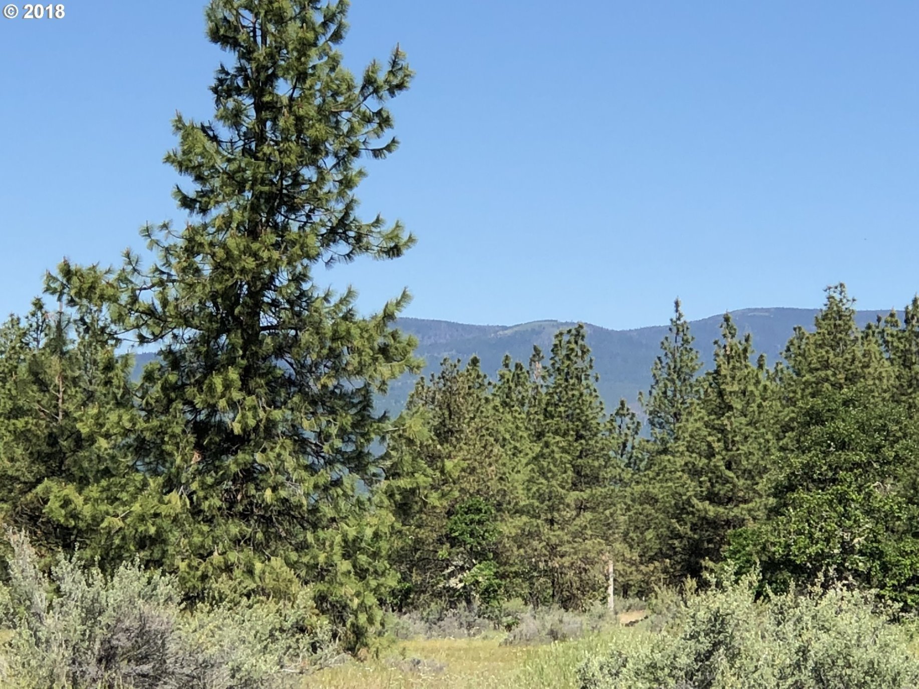 53 Slo Goin Road Goldendale, WA 98620 - Photo 3 of 6 Gallery Image 3