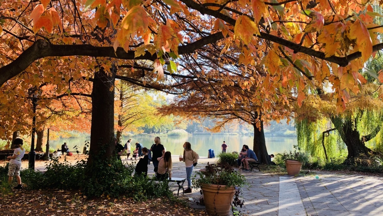 Kalahari 40 W 116th St, Manhattan, NY 10026 - Photo 31 of 32