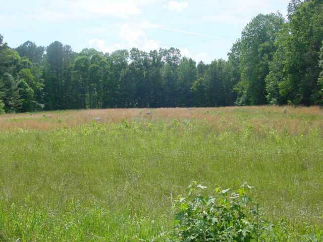 0 Reaves Rd N/a Middleton, TN 38052 - Photo 1 of 1 Gallery Image 1