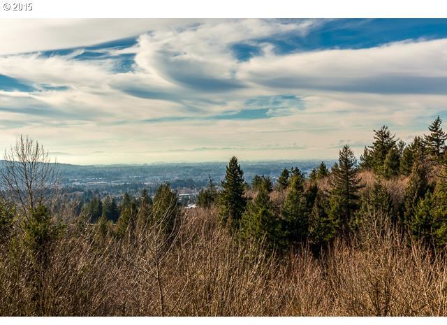 877 Southwest Summit View Drive Portland, OR 97225 - Photo 7 of 16 Gallery Image 7