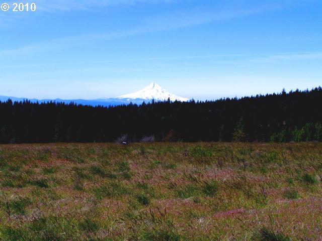 Meadows Loop Lyle, WA 98635 - Photo 1 of 6 Gallery Image 1