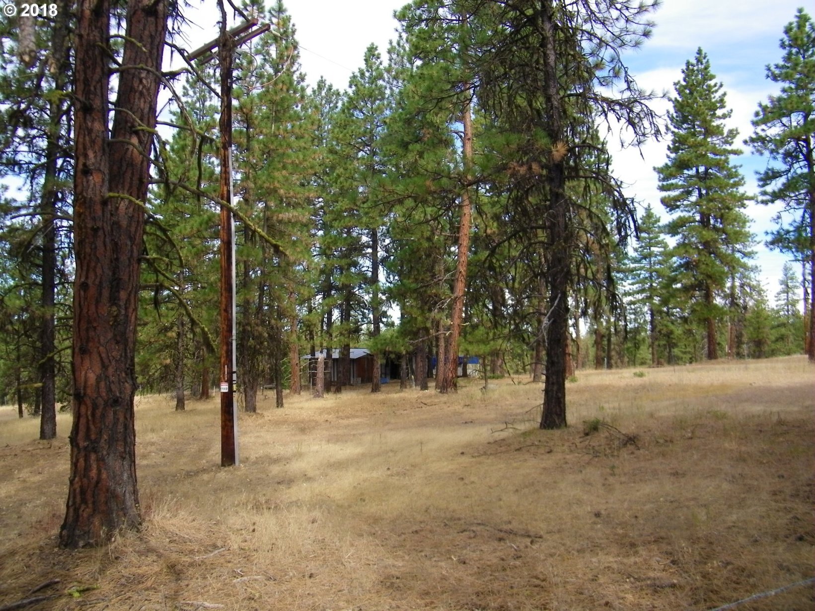 15 Old Grayback Road Goldendale, WA 98620 - Photo 1 of 14 Gallery Image 1