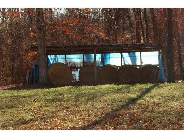 2327 Ray Bluff Road Millington, TN 38053 - Photo 11 of 16 Gallery Image 11