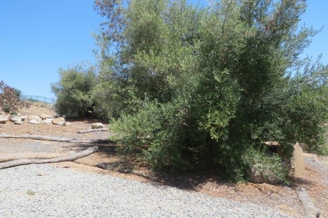669 Rolling Hills Road Vista, CA 92081 - Photo 4 of 17 Gallery Image 4