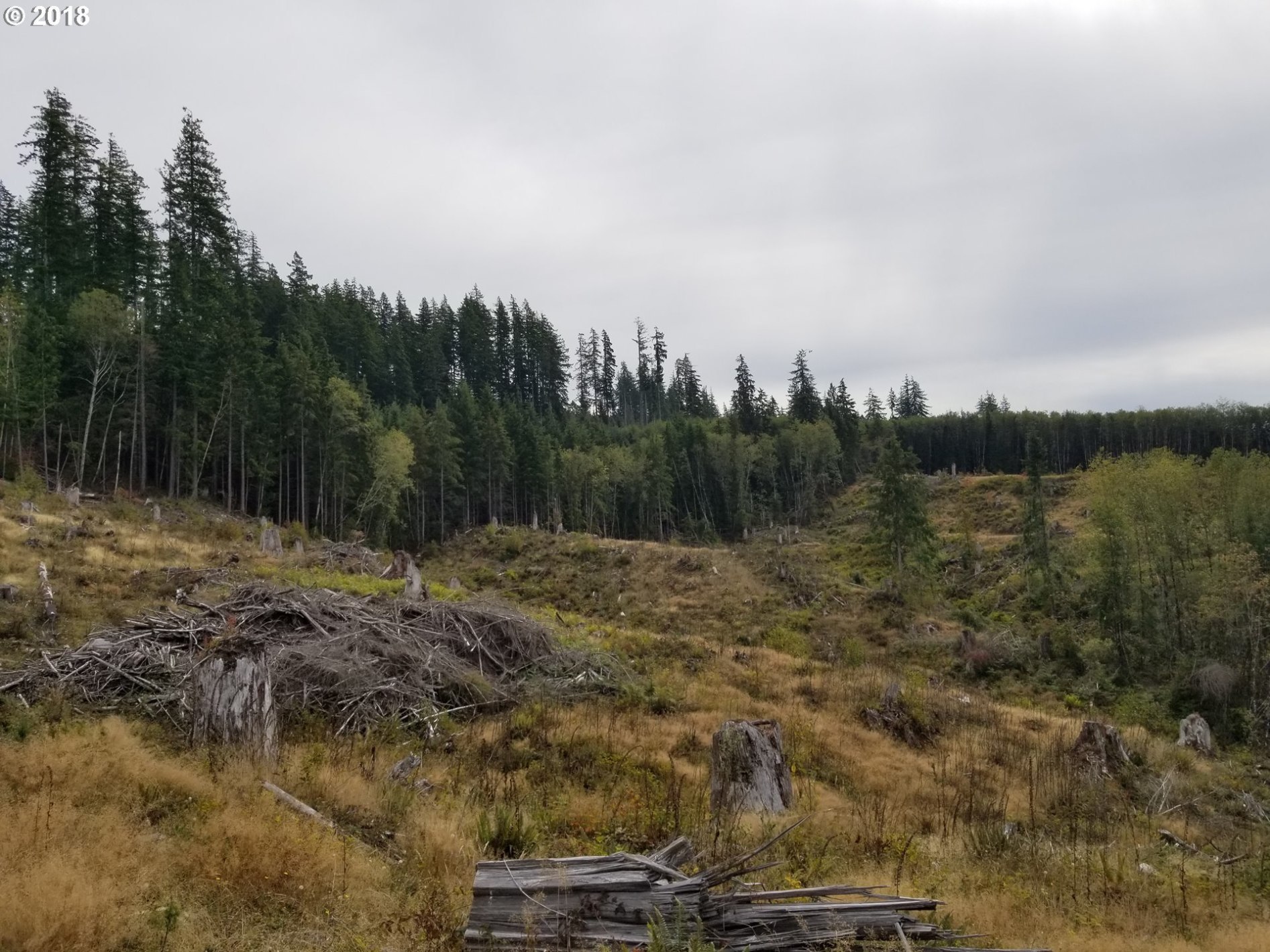 Elochoman Valley Cathlamet, WA 98612 - Photo 21 of 26