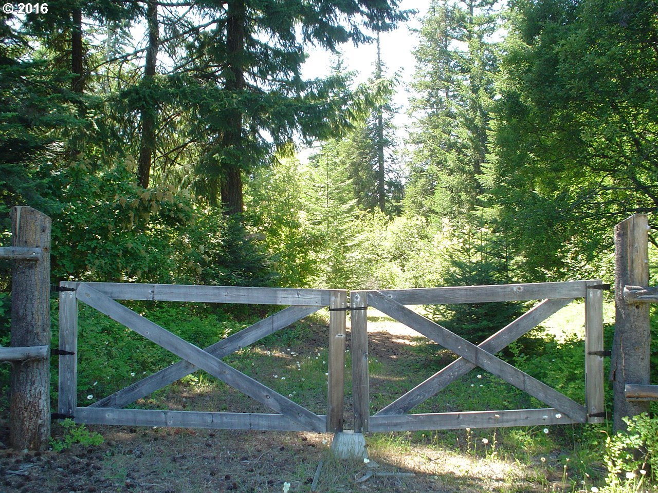 Snowden Cutoff Road White Salmon, WA 98672 - Photo 11 of 15