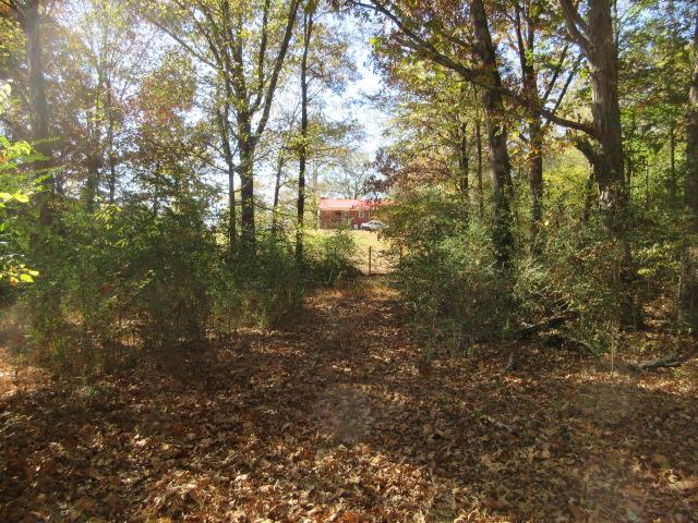 3232 Presley Ridge Road Sardis, TN 38371 - Photo 27 of 30 Gallery Image 27