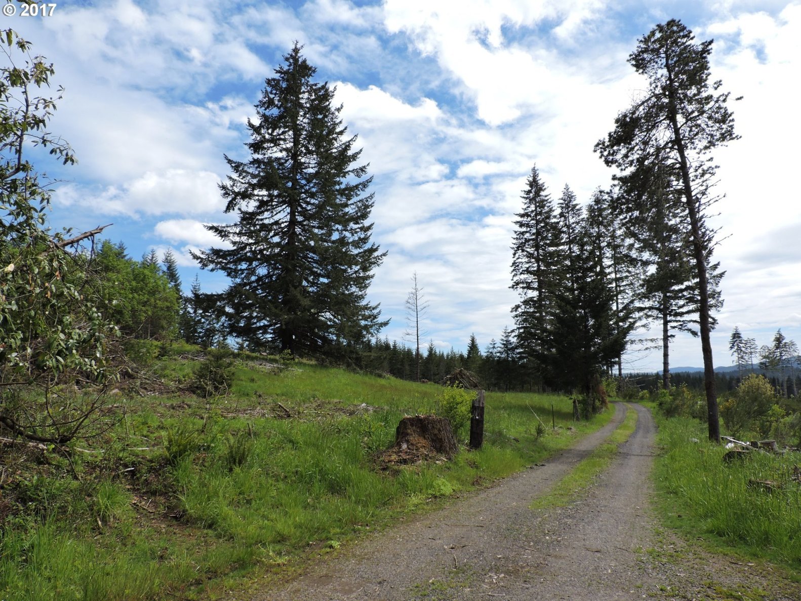 57885 Northwest Strassel Road Forest Grove, OR 97116 - Photo 9 of 27 Gallery Image 9
