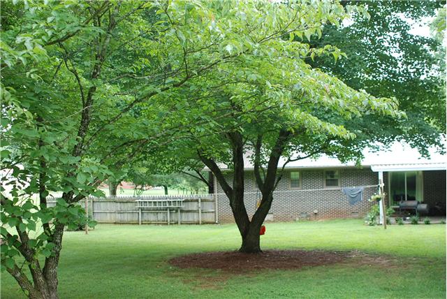 228 Grider Road Winchester, TN 37398 - Photo 23 of 30 Gallery Image 23