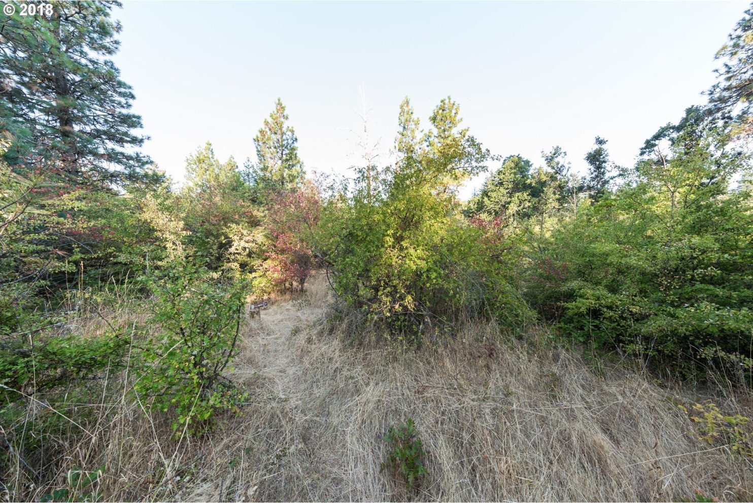 1740 Markham Road Hood River, OR 97031 - Photo 23 of 25 Gallery Image 23