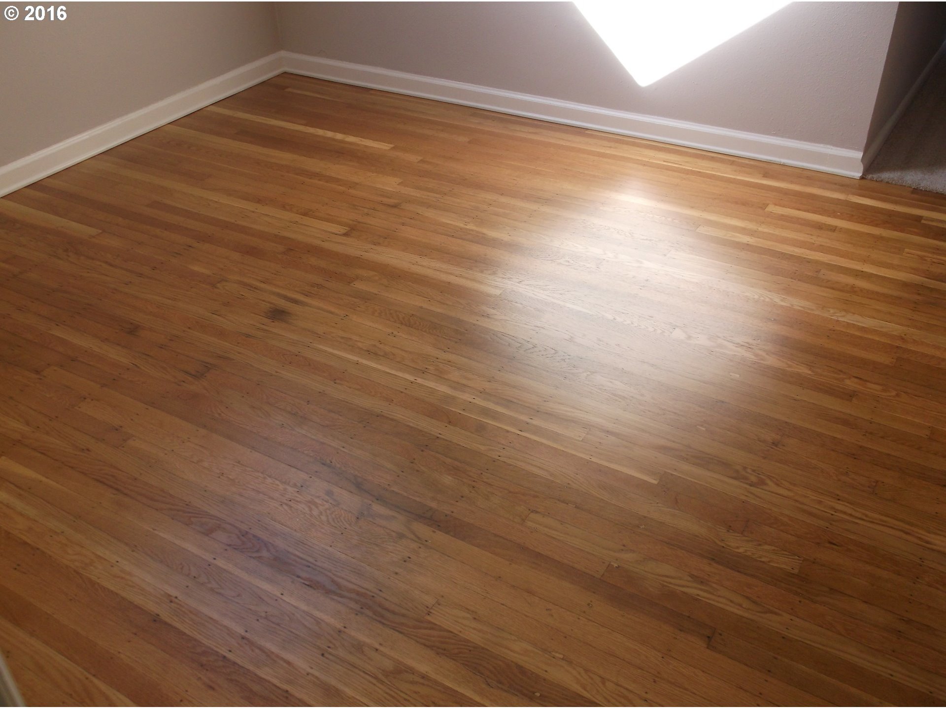 5901 Southwest Brugger Street Portland, OR 97219 - Photo 30 of 32 Gallery Image 30