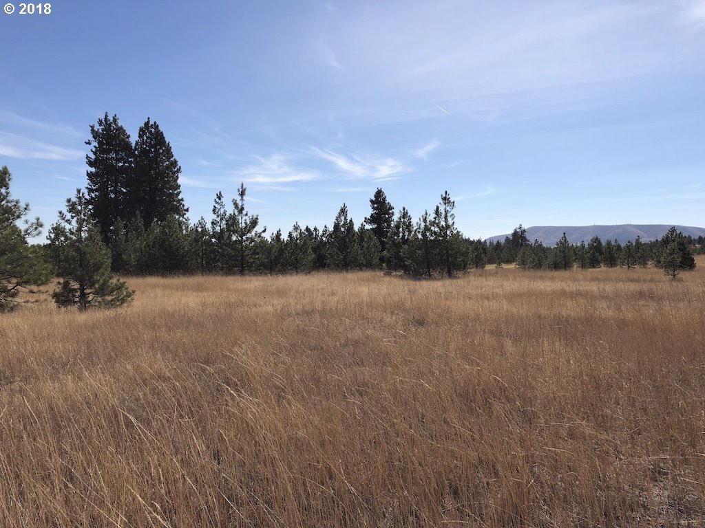 Whites Ranch Road Lyle, WA 98635 - Photo 10 of 17 Gallery Image 10