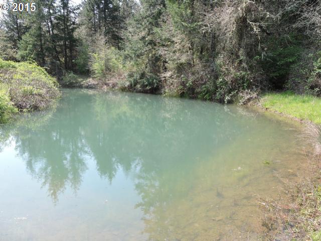 7230 Rice Valley Road Yoncalla, OR 97499 - Photo 10 of 16 Gallery Image 10