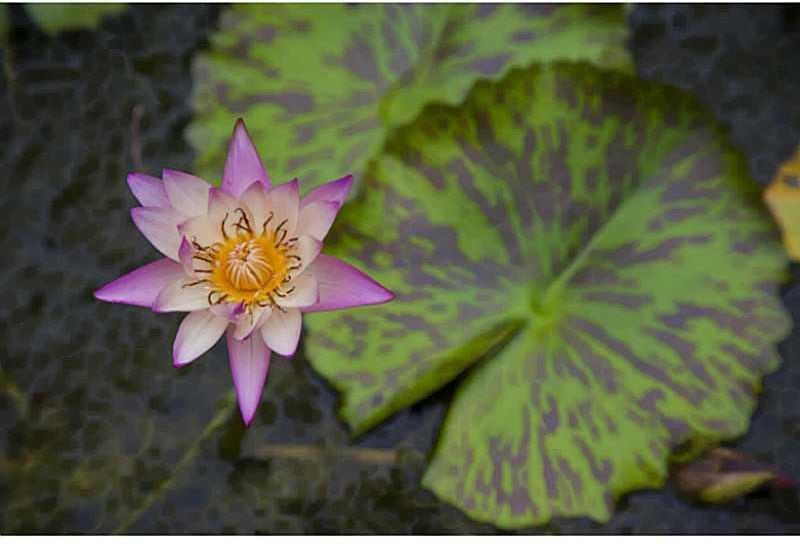 6880 Southwest 82nd Avenue Miami, FL 33143 - Photo 29 of 32