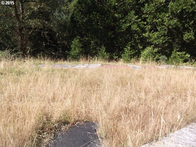 1471 Spring Brook Road Myrtle Creek, OR 97457 - Photo 2 of 5