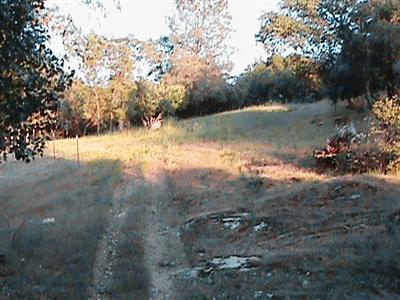 43702 Ellen Mine Road Coarsegold, CA 93614 - Photo 28 of 44 Trail back into the property. So beautiful beyond homesite also! How 'bout an organic orchard to go along with the private well?
