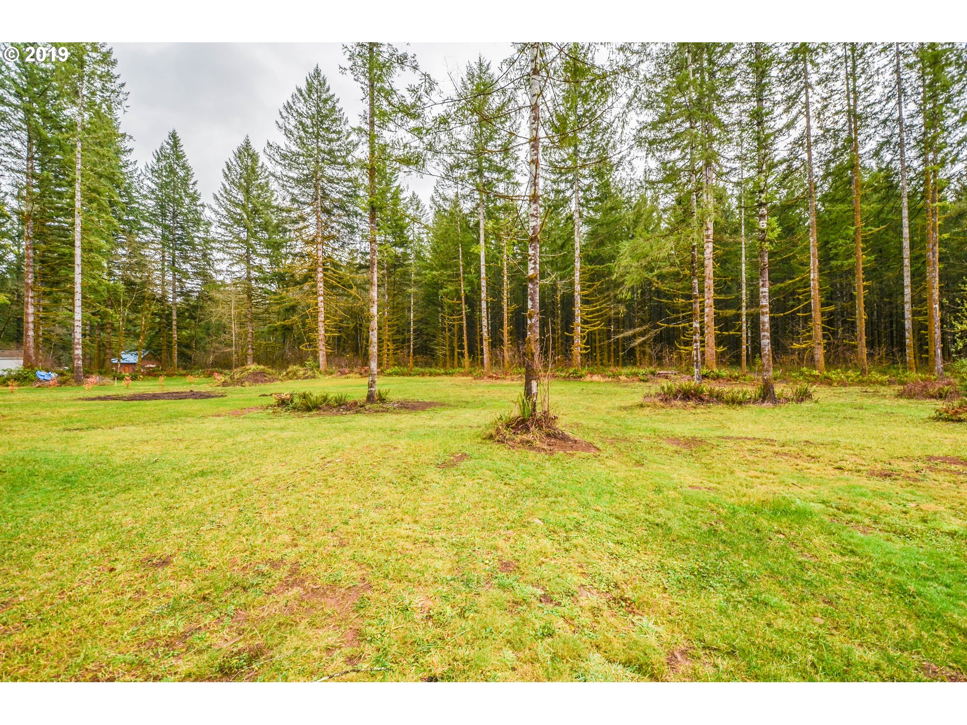 170 Bigfoot Road Ariel, WA 98603 - Photo 9 of 13 Gallery Image 9