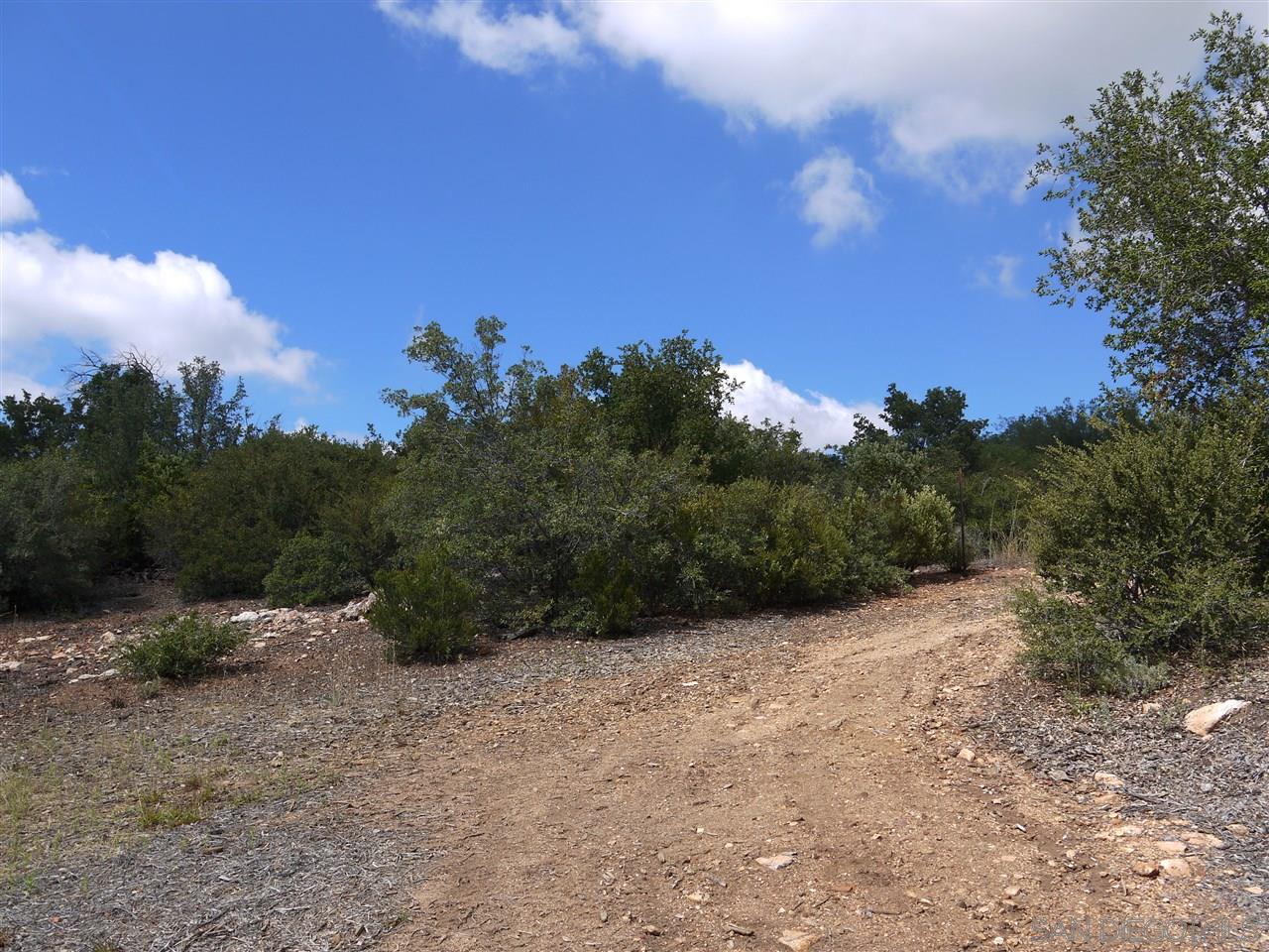 5753 Mount Meadow Road Julian, CA 92036 - Photo 11 of 25 One acre lot is level/gentle slope and is in a natural vegetative state. WATER METER IS IN!
