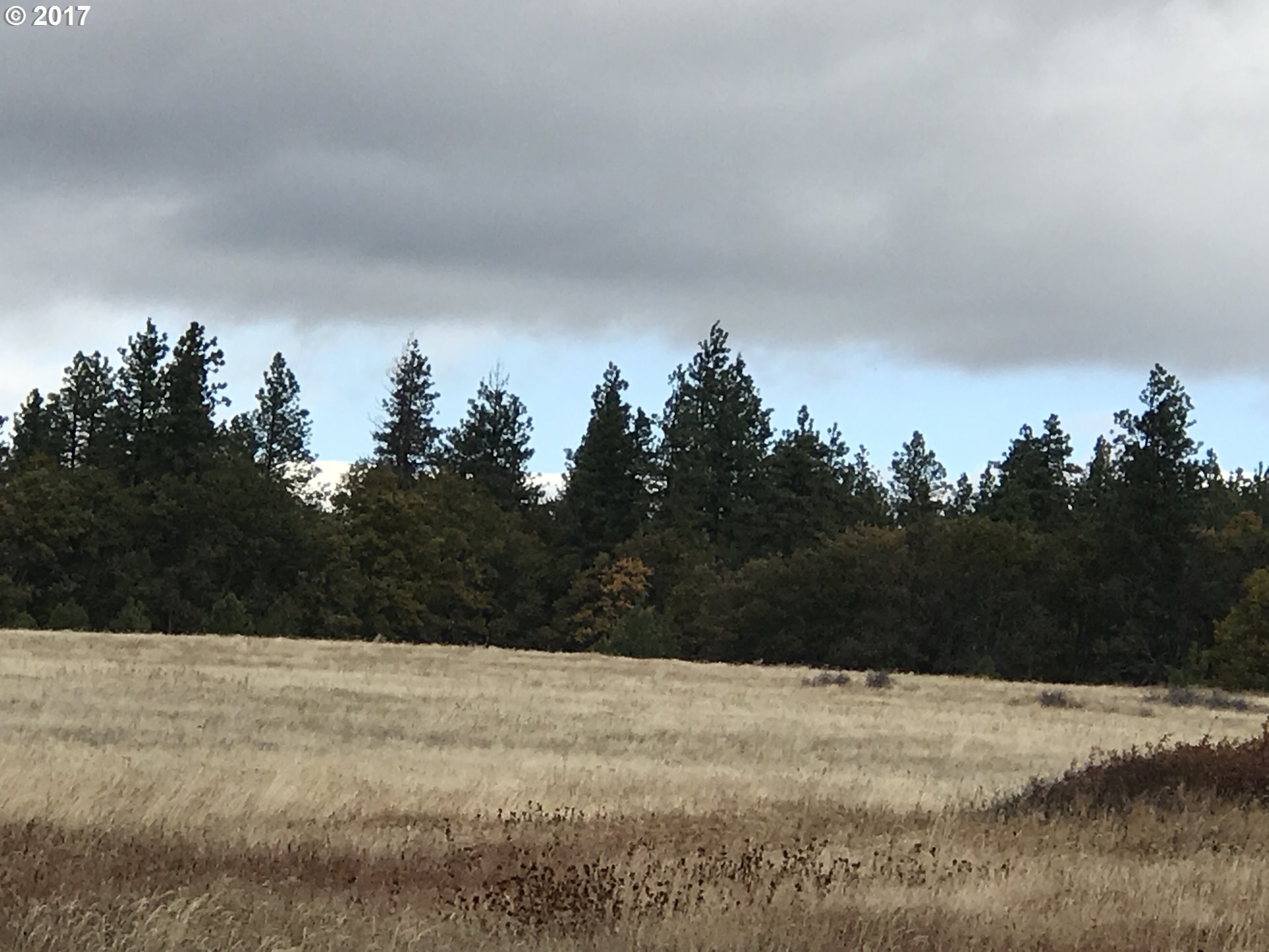 310 Orchard Heights Road Goldendale, WA 98620 - Photo 15 of 28 Gallery Image 15