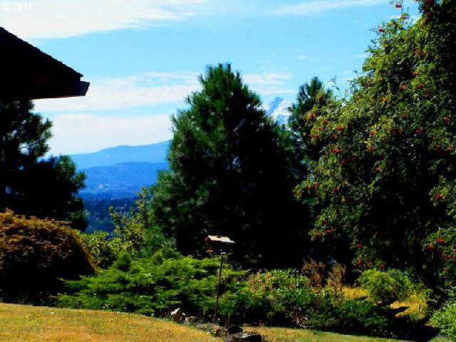 255 Southwest Robbins Road White Salmon, WA 98672 - Photo 10 of 16 Gallery Image 10