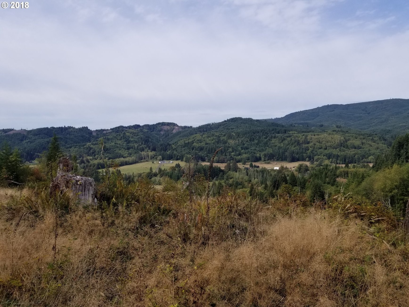 Elochoman Valley Cathlamet, WA 98612 - Photo 1 of 26