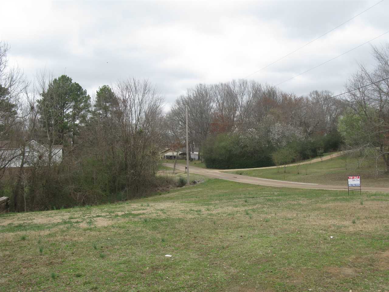 80 Fern Road Somerville, TN 38068 - Photo 5 of 22 Gallery Image 5