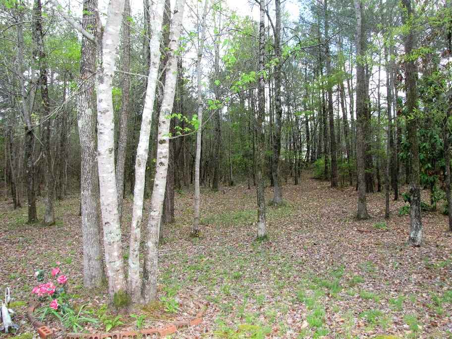 1479 Whitehouse Road Iuka, MS 38852 - Photo 19 of 23 Gallery Image 19