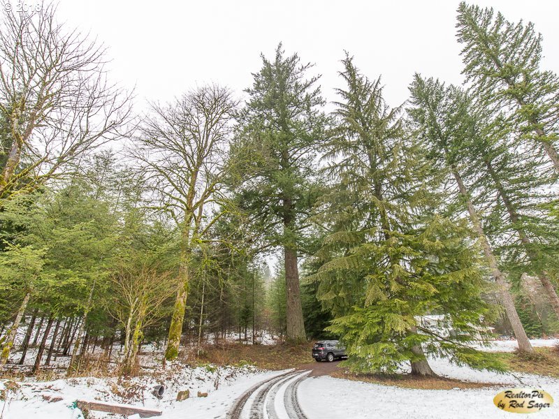 292 Mathews Road Washougal, WA 98671 - Photo 31 of 32 Gallery Image 31