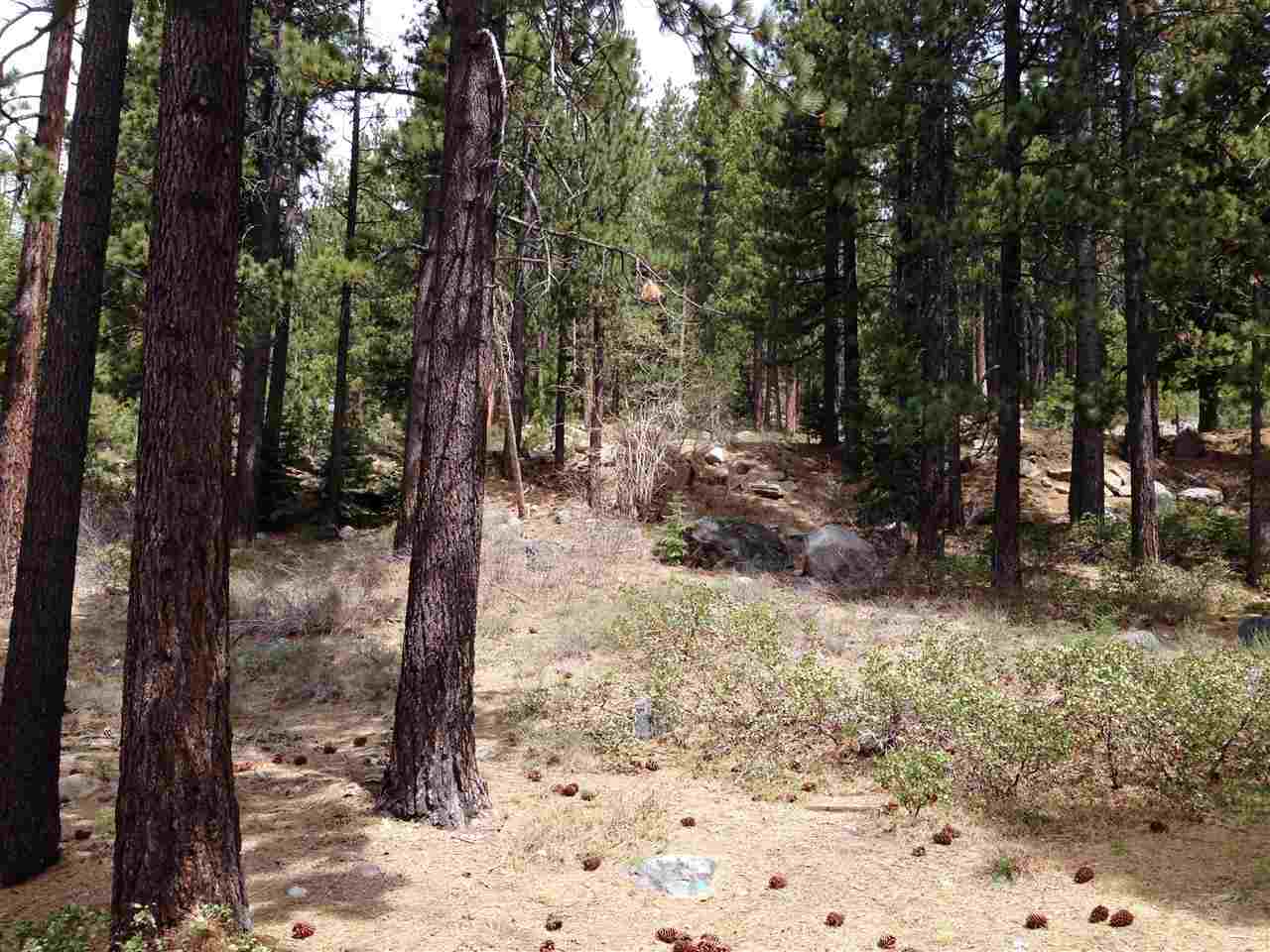 15504 Donner Pass Road, Unit 8 Truckee, CA 96161 - Photo 9 of 14
