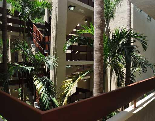 9285 Southwest 125th Avenue, Unit 206 Miami, FL 33186 - Photo 11 of 16