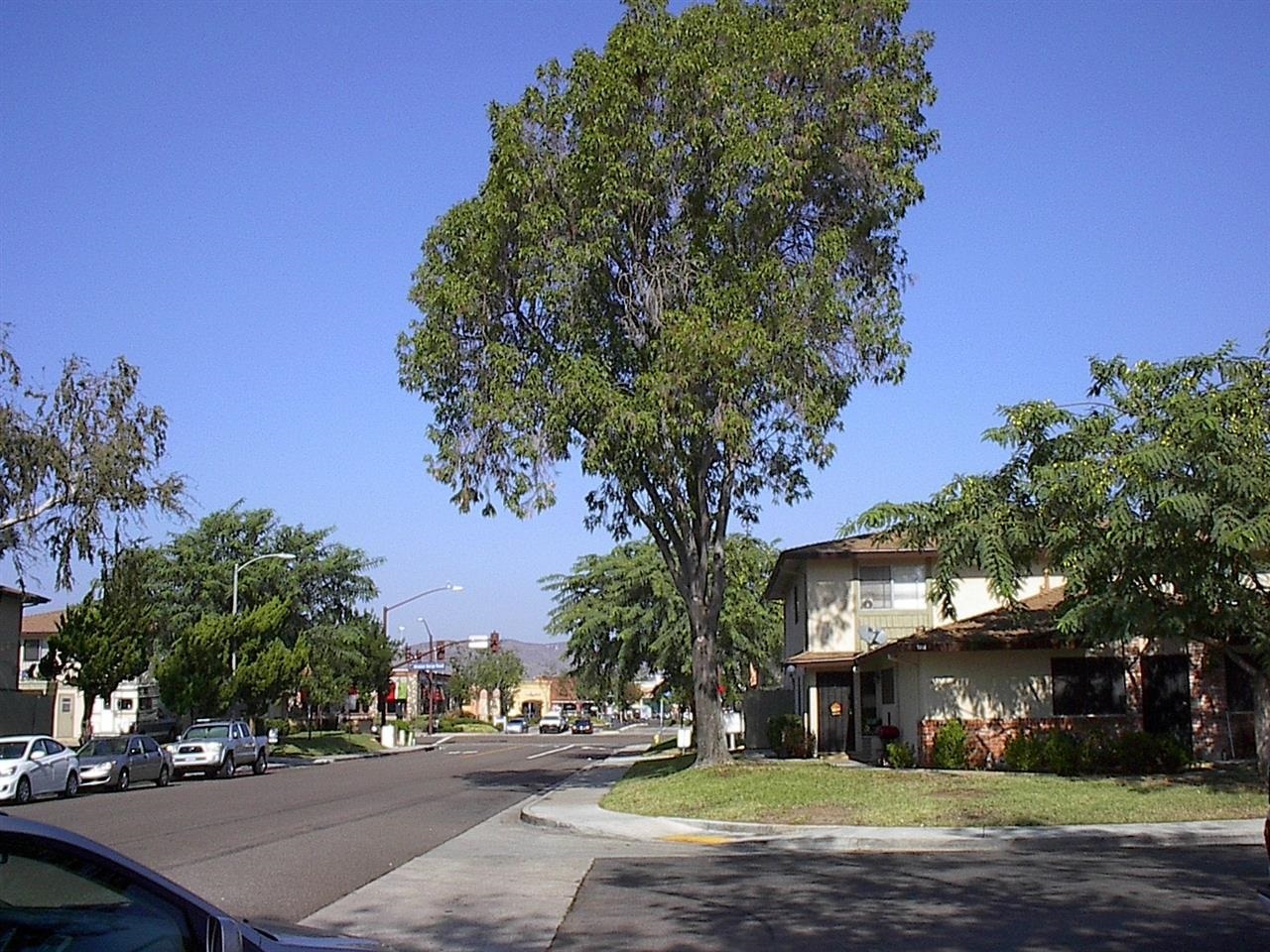 8833 Mission Greens Road, Unit 3 Santee, CA 92071 - Photo 10 of 12 Walk a short distance to the relaxing pool area.