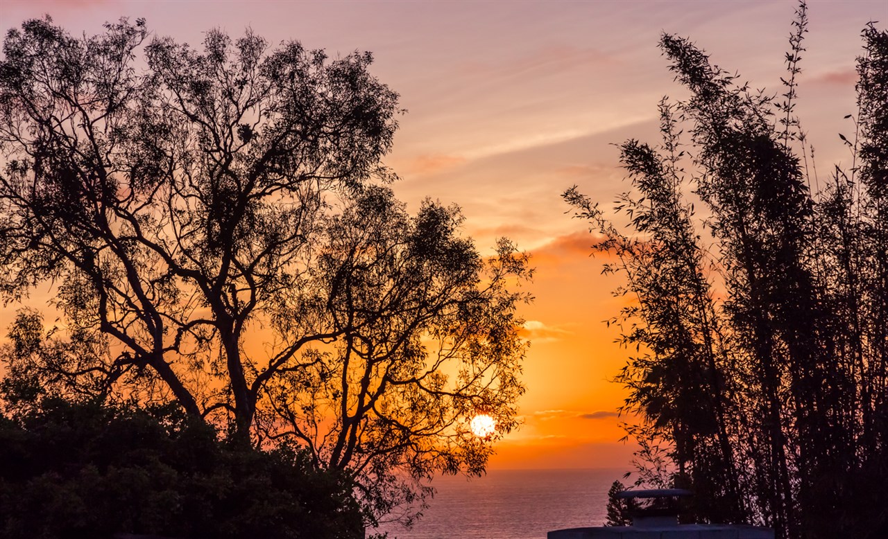 462 15th Street Del Mar, CA 92014 - Photo 14 of 14