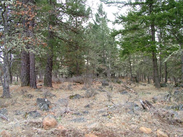 Austin Road Goldendale, WA 98620 - Photo 11 of 15 Gallery Image 11