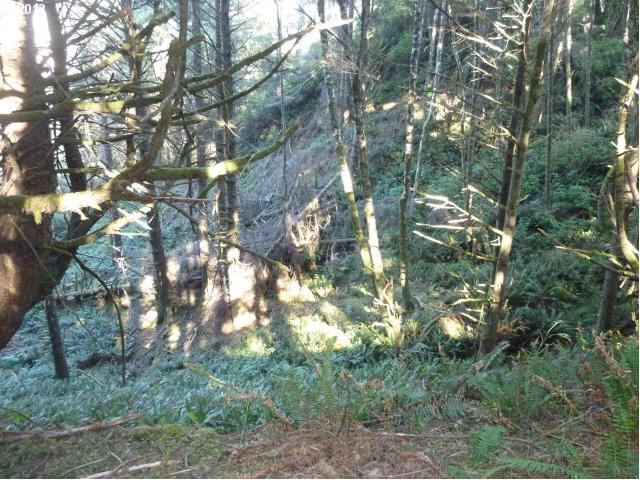 Kissing Rock Road, Unit 634 Gold Beach, OR 97444 - Photo 7 of 13