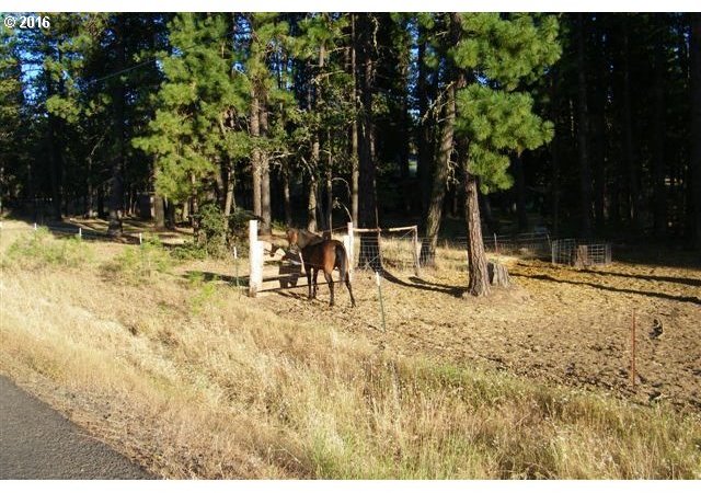 274 Box Canyon Road Goldendale, WA 98620 - Photo 32 of 32 Gallery Image 32