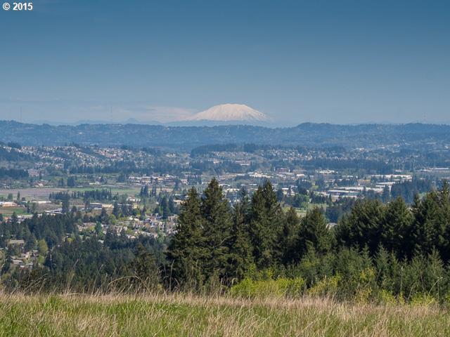 16971 Southwest Parrett Mountain Road, Unit 1 Sherwood, OR 97140 - Photo 1 of 8 Gallery Image 1