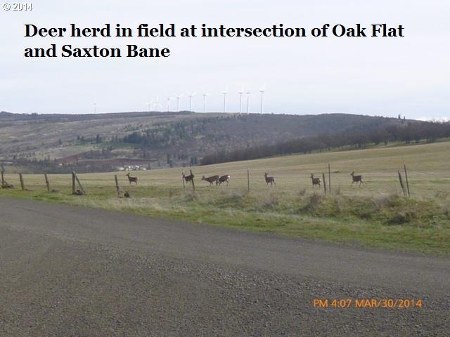 Oak Flat Road Goldendale, WA 98620 - Photo 7 of 15 Gallery Image 7