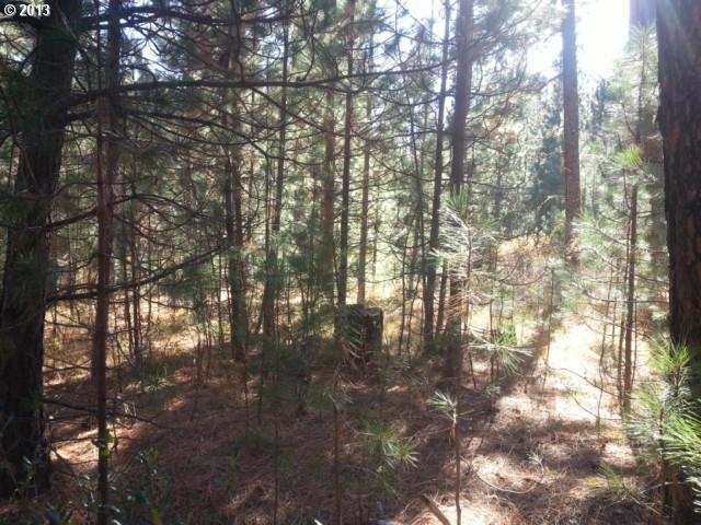 Pine Creek Road, Unit 5 Roosevelt, WA 99356 - Photo 5 of 16 Gallery Image 5