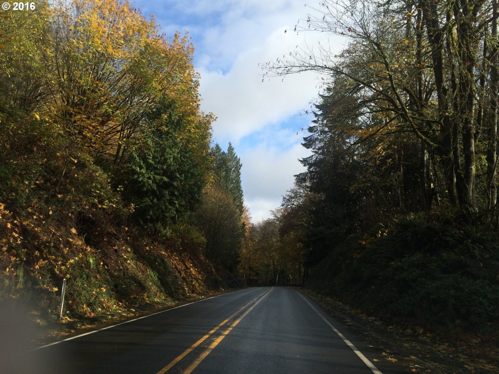 349 Elochoman Valley Road Cathlamet, WA 98612 - Photo 26 of 28 Gallery Image 26