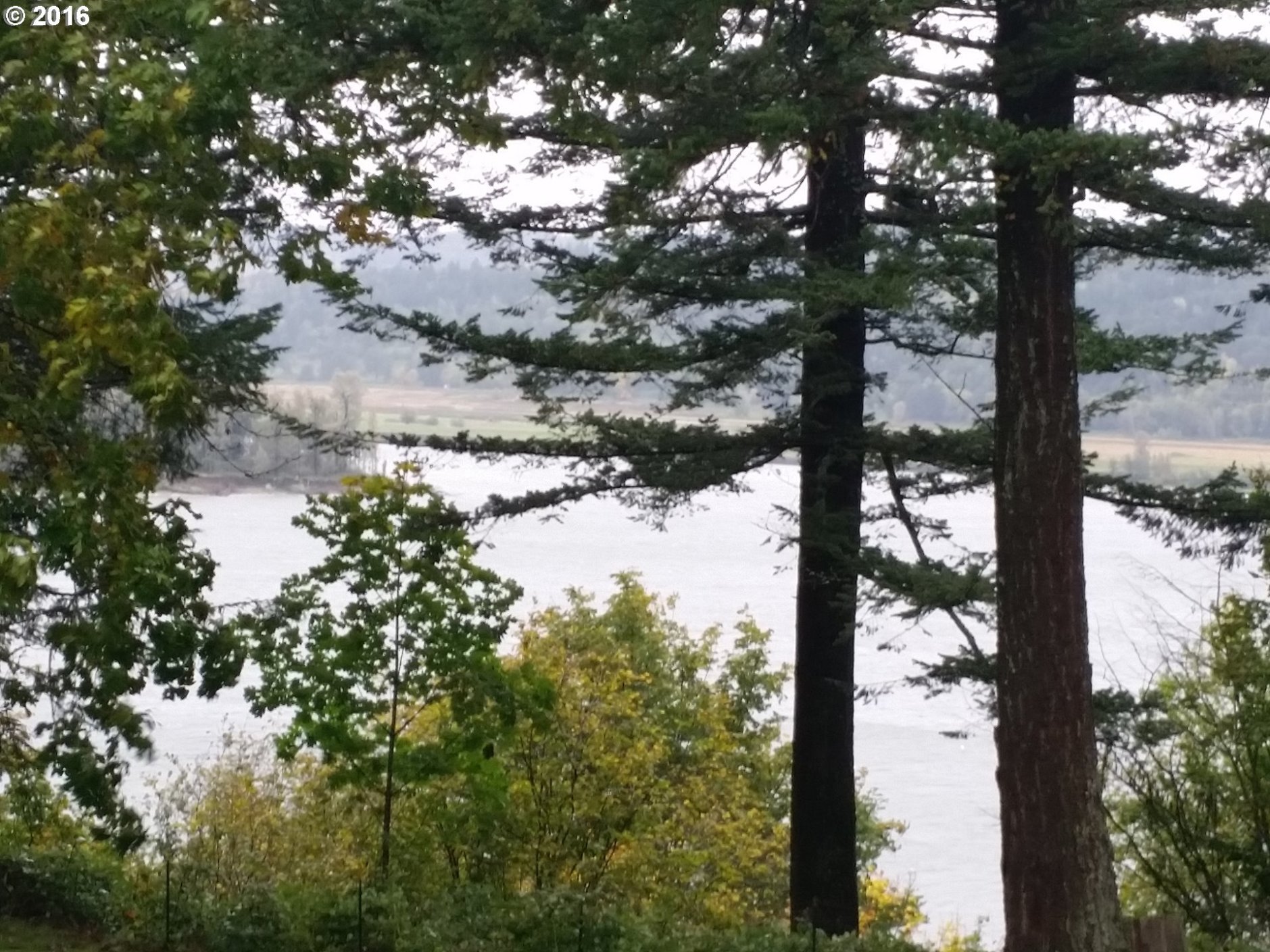 37333 Northeast Reed Road Corbett, OR 97019 - Photo 3 of 7