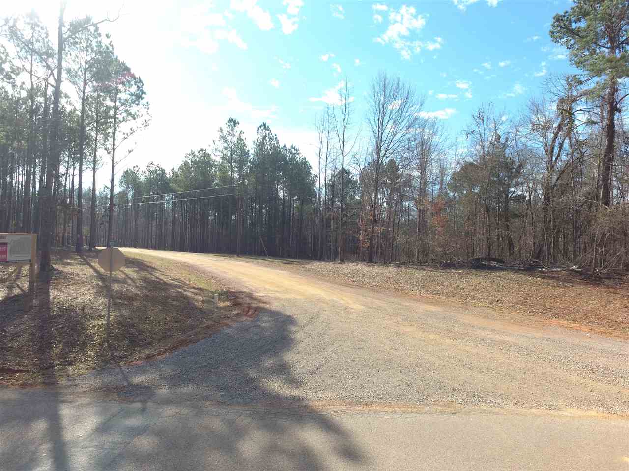 95 Timber Ridge Drive Counce, TN 38326 - Photo 1 of 1 Gallery Image 1