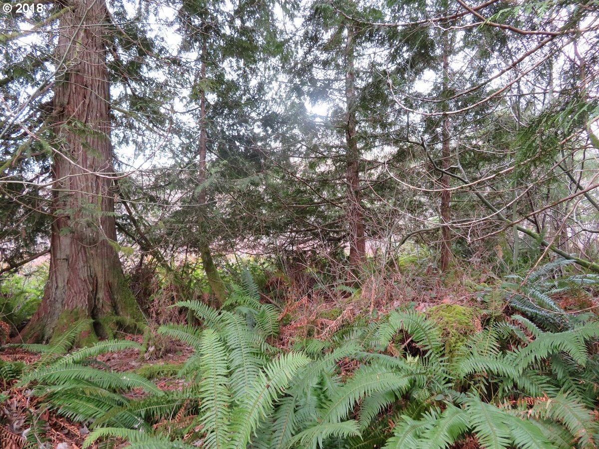 East Mox Chehalis Road McCleary, WA 98557 - Photo 2 of 29 Gallery Image 2